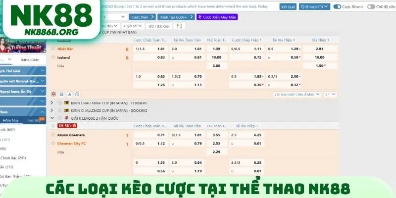 Các loại kèo cược tại thể thao NK88