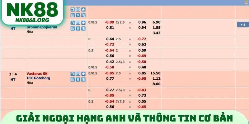 Giải đấu Ngoại hạng Anh và thông tin cơ bản